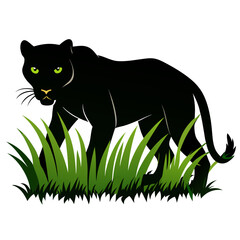 a black panther stalking through long grass