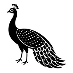 illustration of peacock