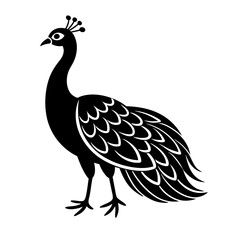 illustration of a peacock