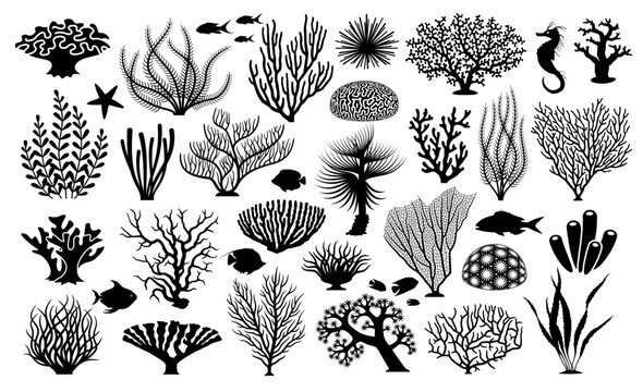 various coral silhouettes
