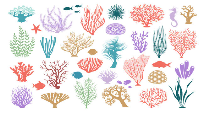 Coral icons set. Cartoon set of coral vector icons for web design