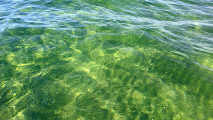 Beautiful wavy surface of clean and transparent turquoise sea water, natural background