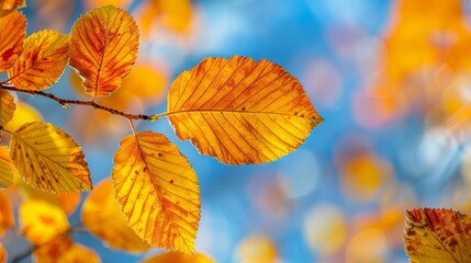 Fototapeta premium Autumn Leaves Close-Up, Generative AI
