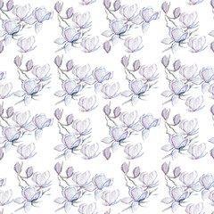 seamless background with magnolia flower