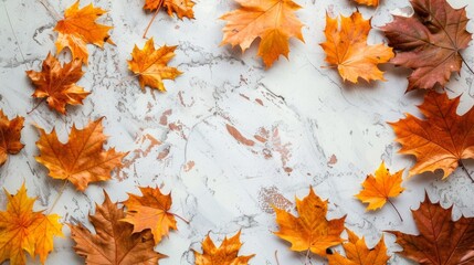 A white background with a large number of orange leaves scattered around it