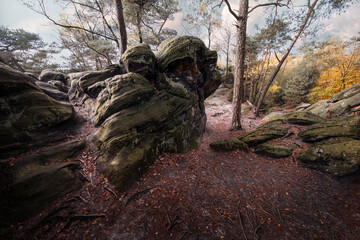 rock formation in autumn forest of germany
