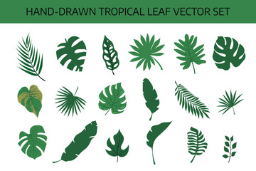 Hand drawn vector set of tropical leaf. vector eps 10. flat design.