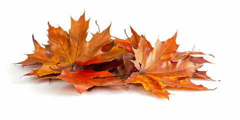 Obraz premium vIsolated heap of autumn leaves 