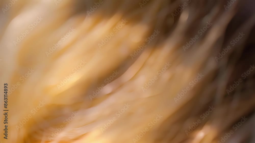 Poster the fine hairs in this closeup image are so delicate and wispy creating a cloudlike texture that beg