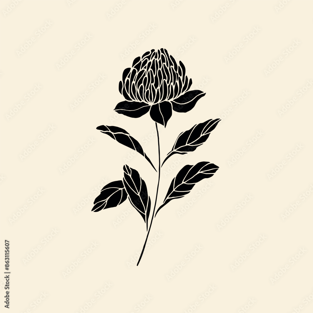 Wall mural Flat vector waratah flower. Australian native flower