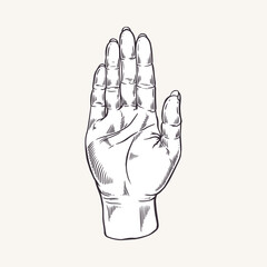 Human right hand. Open palm sign. Vector illustration. Hand of Buddha, Ganesha. Reading lines, hills. Fortune telling for the future. Palmistry