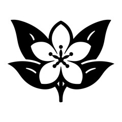 jasmine flower vector illustration