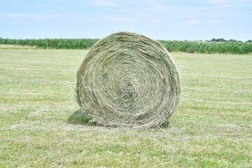 Hay Bale