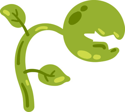 Predatory plant. Venus flytrap. Magic Flycatcher flower with teeth. Exotic tropical plant. Flat cartoon isolated on white