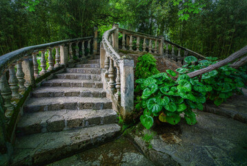 tropical garden of the moors on mallorca