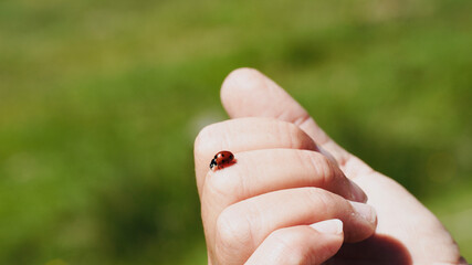 Small ladybird on a woman's hand.