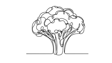 broccoli single line illustration