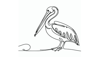 single line illustration of a pelican