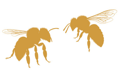 bee silhouette illustration vector