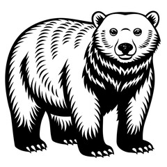 brown bear vector