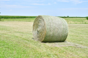 Hay Bale