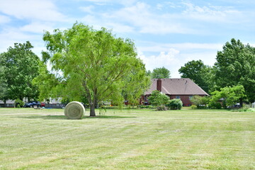 Farm Field by a House © Steve