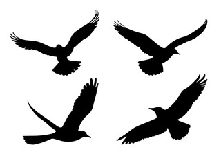 set of flying bird silhouette illustration