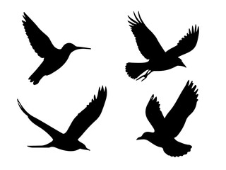 Fototapeta premium set of flying bird silhouette illustration