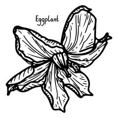 Eggplant flower sketch. Growing vegetables in the garden. Healthy food. Farm product. Hand drawn vector line illustration.