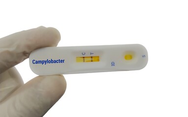 Rapid diagnostics cassette for Campylobacter, showing positive for Campylobacter infection