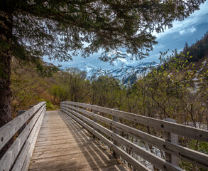 Wooden bridge, Perseverance Trail in Juneau, Alaska, USA