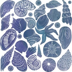 Seashell, watercolor painting