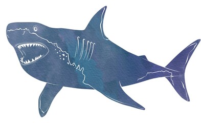 Shark, watercolor painting