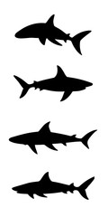 set of shark silhouette illustration 