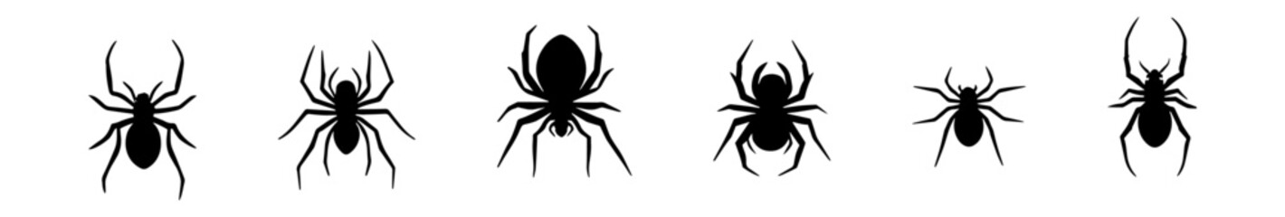 set of spider silhouette vector design