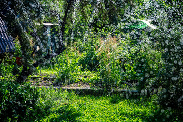 Landscape automatic garden watering system