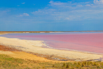 View of the pink salty Syvash lake in Kherson region, Ukraine