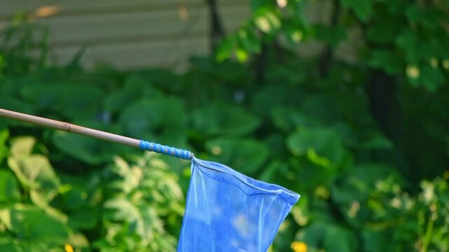 a white butterfly flies out of a blue net. summer time, freedom, liberation, slow motion