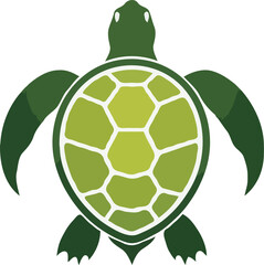Marine Elegance: Sea Turtle Vector Art