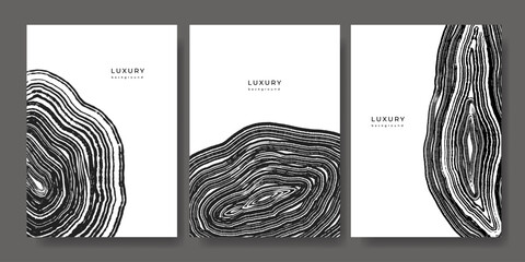 Set of luxury black and white backgrounds with wood annual rings texture. Template with shiny tree ring pattern. Stamp of tree trunk in section. Wooden concentric circles. Grunge background © Morena