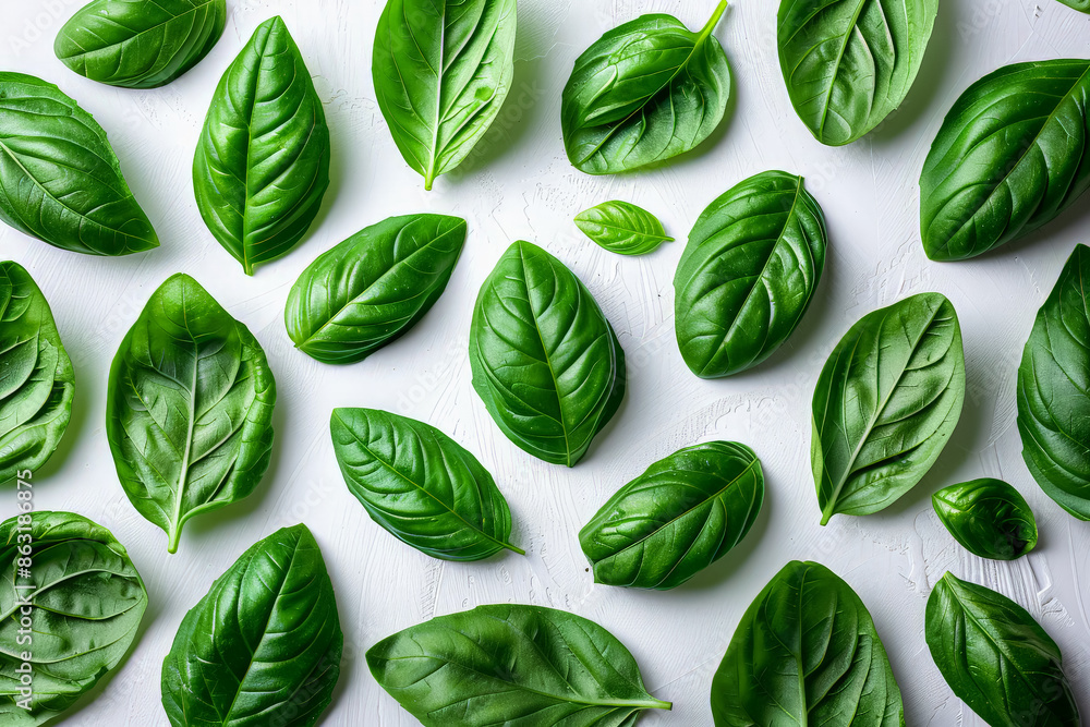 Poster a close up of many green leaves of basil. the leaves are arranged in a pattern, with some overlappin