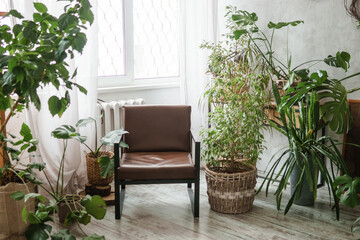 A fragment of the interior with a variety of indoor plants and plaster sculptures. Urban jungle concept. Biophilia design.