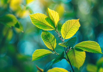 Closeup of vibrant green leaves with blur background.