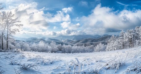 Snow-covered mountains in North Carolina during the frigid winter.