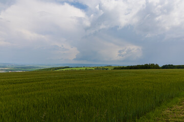 Beautiful spring landscape before the storm. Grain fields and dark clouds are seen.