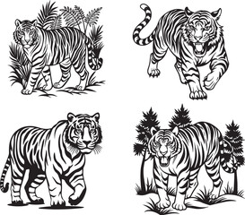 tiger animals art graphic resources vector Element image design