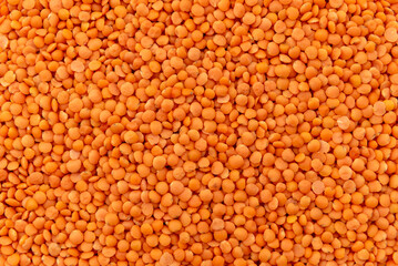Background from lentil grains. Grains. Legume texture