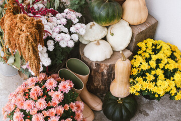 Autumn decor of house entrance. Beautiful autumnal mums flowers, pumpkins, rubber boots and wood....