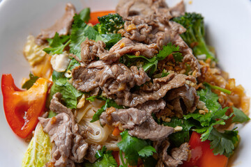 Asian salad with beef and fresh vegetables