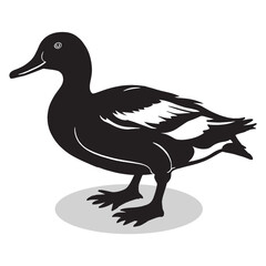 Fototapeta premium Ducks silhouettes and icons. Black flat color simple elegant white background Ducks animal vector and illustration.